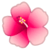 :hibiscus: :hibiscus: