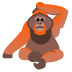 :orangutan: :orangutan: