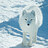 ArcticFox